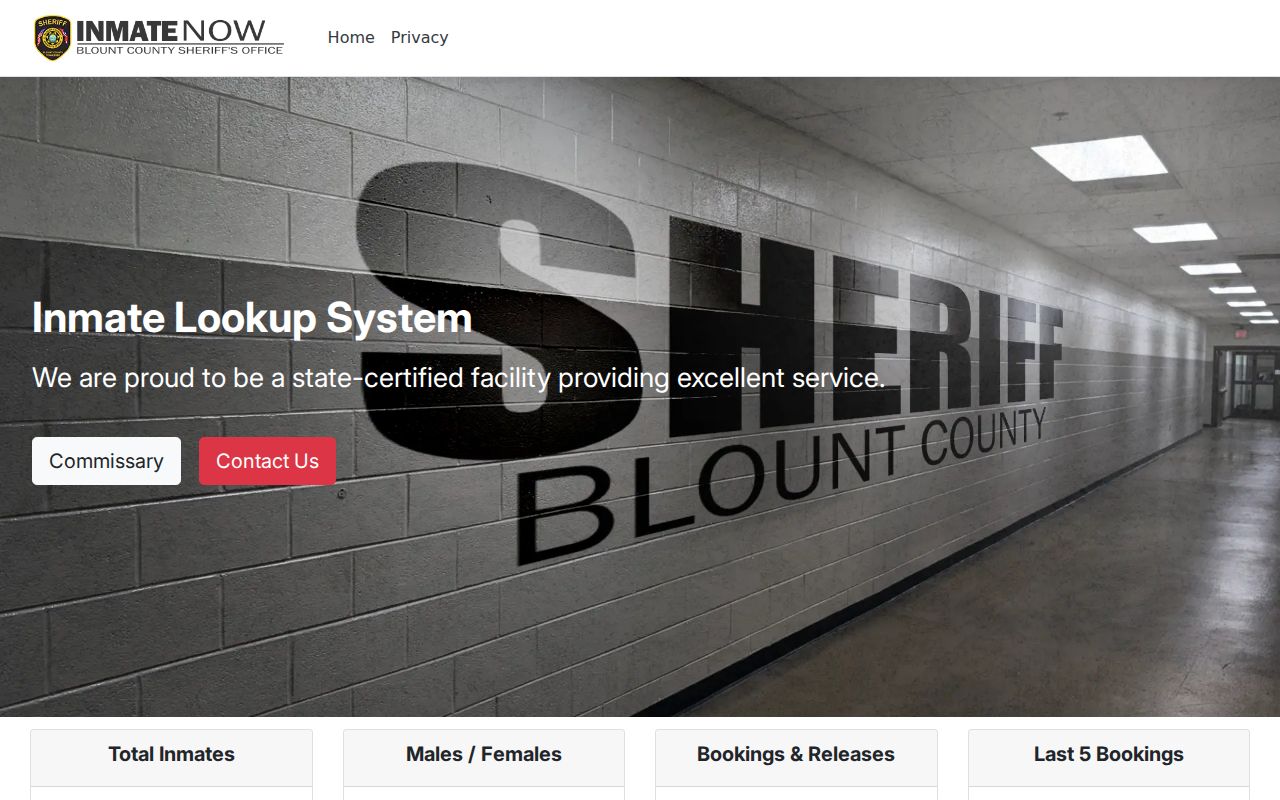 Blount County InmateNOW interface showing a jail information search, not warrant status